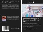Contaminación de peces en la Laguna da Jansen, S?o Luís (MA)