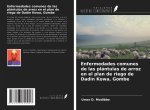 Enfermedades comunes de las plántulas de arroz en el plan de riego de Dadin Kowa, Gombe