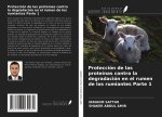 Protección de las proteínas contra la degradación en el rumen de los rumiantes Parte 1