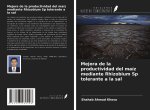 Mejora de la productividad del maíz mediante Rhizobium Sp tolerante a la sal