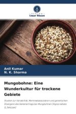 Mungobohne: Eine Wunderkultur für trockene Gebiete