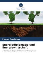 Energiediplomatie und Energiewirtschaft