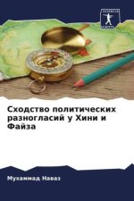 Shodstwo politicheskih raznoglasij u Hini i Fajza