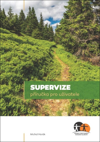 Supervize