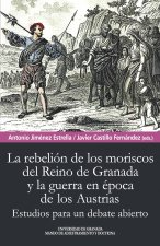 Rebelión de los moriscos del reino de Granada y la guerra en época de los Austri