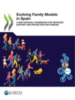 Evolving family models in Spain