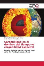 Cargabilidad en el dominio del tiempo vs cargabilidad espectral
