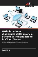 Ottimizzazione distribuita delle query e schemi di indicizzazione in Cloud Server