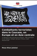 Combattants terroristes dans le Caucase, en Europe et en Asie centrale