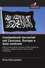 Combattenti terroristi nel Caucaso, Europa e Asia centrale
