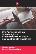 Um Participante na Governaç?o e Planeamento: O que é que realmente significa?