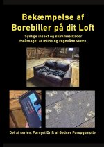 Bekaempelse af Borebiller pa dit Loft