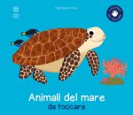 animali del mare da toccare