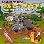 Die kleine Schnecke Monika Häuschen 66: Warum wälzen sich Wildschweine im Dreck?