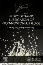 Hydrodynamic Lubrication of Non-Newtonian Fluids