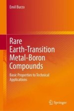 Rare Earth-Transition Metal-Boron Compounds