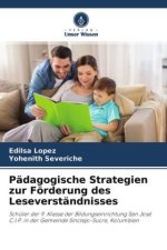 Pädagogische Strategien zur Förderung des Leseverständnisses