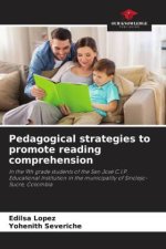 Pedagogical strategies to promote reading comprehension