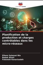Planification de la production et charges contrôlables dans les micro-réseaux