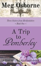 Trip to Pemberley