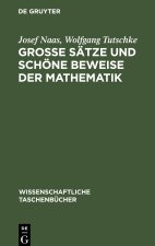 Grosse Satze und schoene Beweise der Mathematik