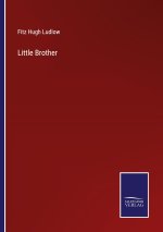 Little Brother