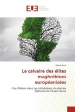 calvaire des elites maghrebines europeanisees
