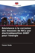 Résistance ? la corrosion des mousses de NiCu par électrodéposition DHBT pour l'énergie