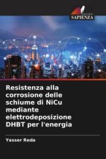 Resistenza alla corrosione delle schiume di NiCu mediante elettrodeposizione DHBT per l'energia
