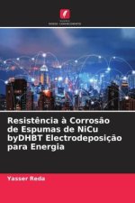 Resist?ncia ? Corros?o de Espumas de NiCu byDHBT Electrodeposiç?o para Energia