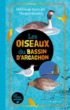 Les oiseaux du Bassin d'Arcachon