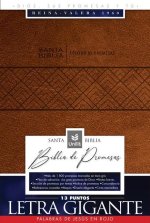 Santa Biblia de Promesas Reina-Valera 1960 / Letra Gigante - 13 Puntos / Piel Especial Con Índice Y Cierre / Café // Spanish Promise Bible Rvr 1960 /