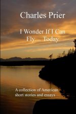 I Wonder If I Can Fly... Today