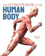 The Ultimate Book of the Human Body