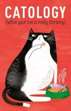 Catology: What Your Cat Is Really Thinking