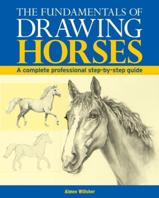 The Fundamentals of Drawing Horses: A Complete Step-By-Step Guide