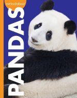 Curious about Pandas