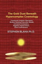 Gold Dust Beneath Hypercomplex Cosmology