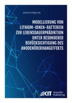 Modellierung von Lithium-Ionen-Batterien zur Lebensdauerprädiktion unter besonderer Berücksichtigung des Anodenüberhangeffekts