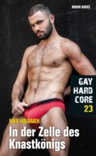 Gay Hardcore 23: In der Zelle des Knastkönigs