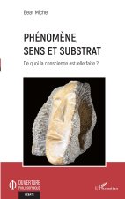 Phénom?ne, sens et substrat