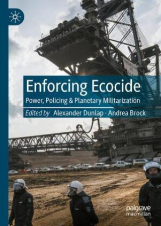 Enforcing Ecocide