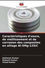 Caractéristiques d'usure, de vieillissement et de corrosion des composites en alliage Al-5Mg-12SiC
