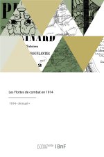 Les Flottes de combat en 1914
