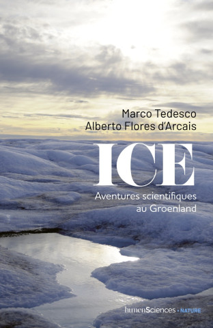 Ice