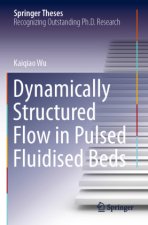 Dynamically Structured Flow in Pulsed Fluidised Beds