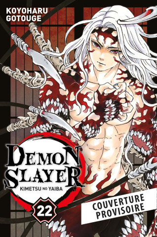 Demon Slayer T22