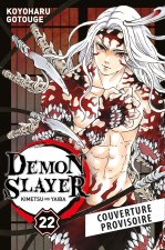 Demon Slayer T22