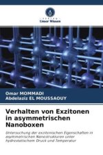 Verhalten von Exzitonen in asymmetrischen Nanoboxen