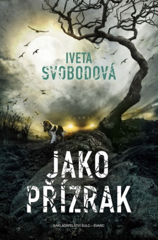 Jako pďż˝ďż˝zrak